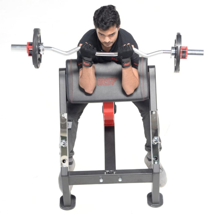 Preacher Curl Bench