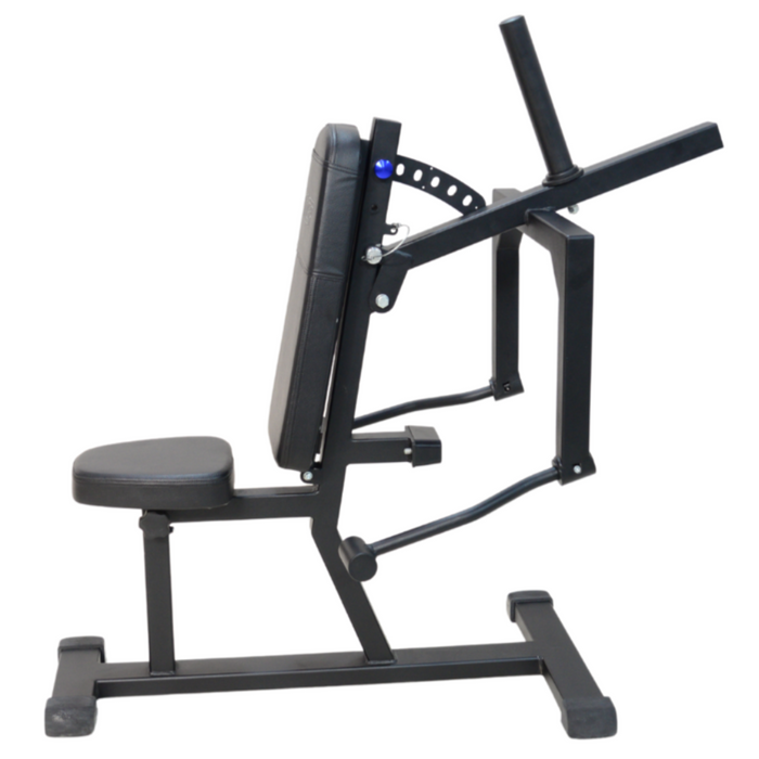 Triceps Pressdown/Shoulder Bench 2 in 1 (Flex Series)