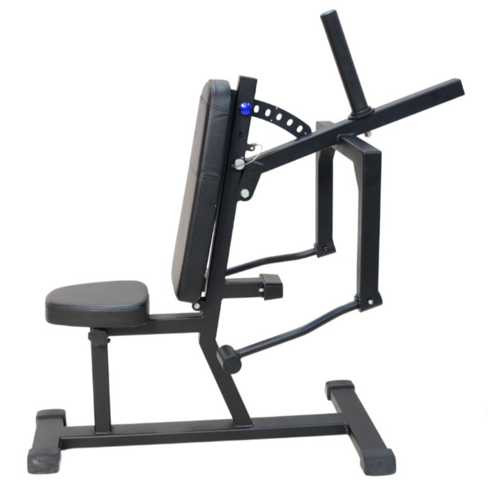 Triceps Pressdown/Shoulder Bench 2 in 1 (Flex Series)