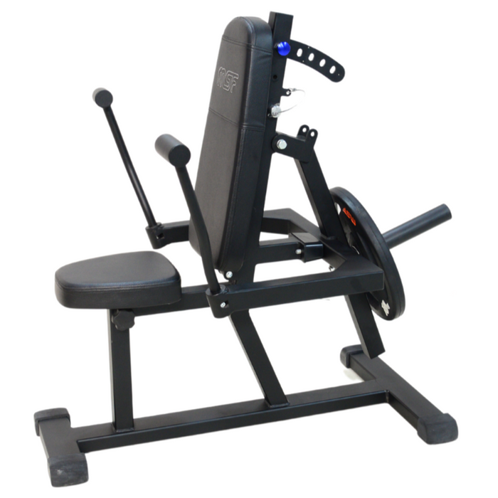 Triceps Pressdown/Shoulder Bench 2 in 1 (Flex Series)