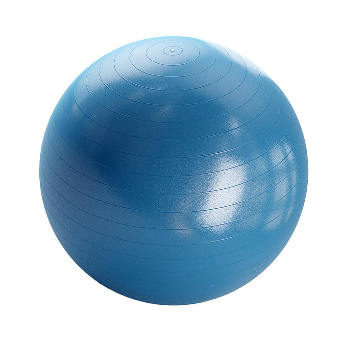 Anti-Burst Exercise Ball with Hand Pump