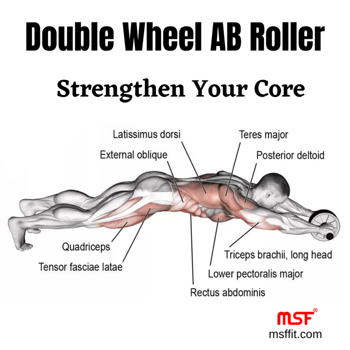 How to Do Kneeling Ab Wheel Roll-Out: Muscles Worked & Proper Form –  StrengthLog